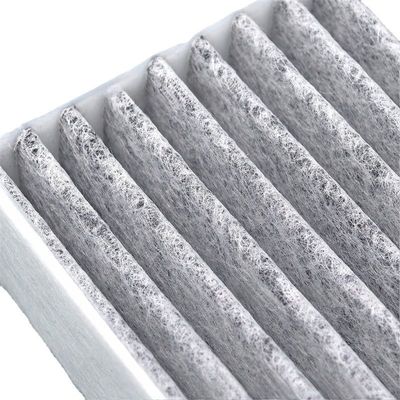 Filtre à charbon actif 64115A4FF59 pour les pièces automobiles pour éliminer la poussière et les impuretés